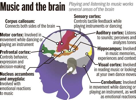 How Do Different Genres of Music Affect the Brain: A Detailed Exploration