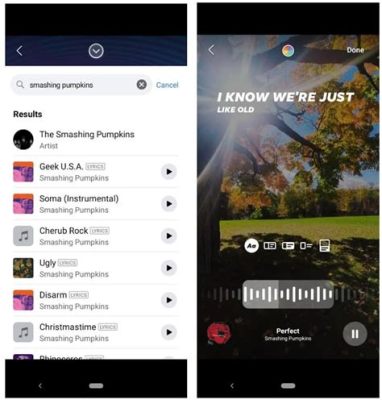 How to Add Music to FB Story: A Guide with Multiple Perspectives